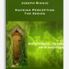 Joseph Riggio – Hacking Perception – The Series