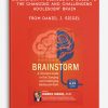 Brainstorm A Clinician's Guide to the Changing and Challenging Adolescent Brain from Daniel J