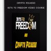 Crypto Picasso Bits to Freedom Video Course