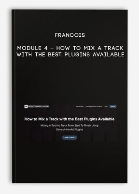 Francois – Module 4 – How to Mix a Track with the Best Plugins Available