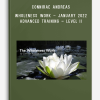 Connirae Andreas – Wholeness Work – January 2022 – Advanced Training – Level II