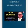 David Cavanagh – Cut And Paste Blueprint