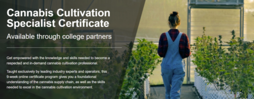 Green Flower – Cannabis Cultivation Certificate Program
