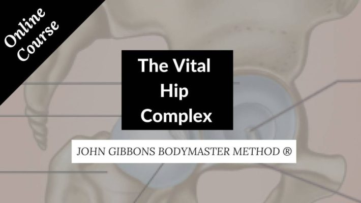 John Gibbons – The Vital Hip Complex