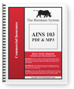 The Burnham System – AINS 103 – Digital & Audio Book
