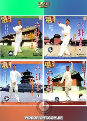 MASTER LIU JING RU – CHEN SHI BAGUAZHANG 04 VOLs