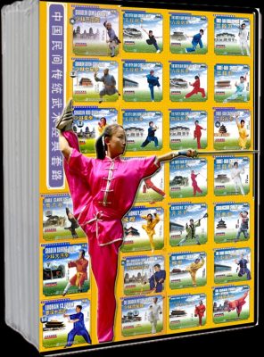 NATIONAL WUSHU CLASSIC & STANDARD ROUTINES DVDS COLLECTIONS