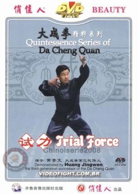 QUINTESSENCE SERIES OF DA CHENG QUAN (YI QUAN) VOL.3