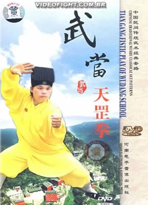 TIAN GANG FISTIC PLAY OF WUDANG SCHOOL
