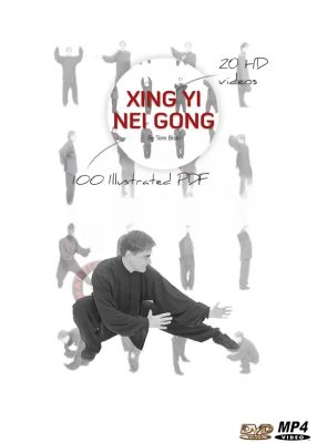 TOM BISIO – XING YI NEI GONG PROGRAM