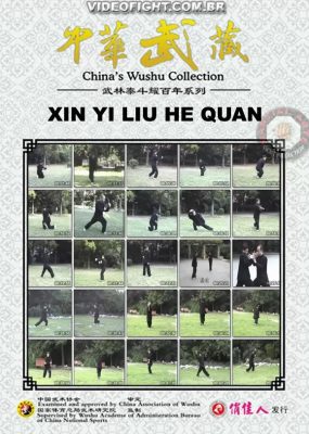 XIN YI LIU HE QUAN