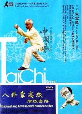 ZHU BAO ZHEN – TRADITIONAL YIN STYLE BAGUAZHANG #06