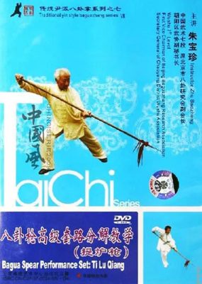 ZHU BAO ZHEN – TRADITIONAL YIN STYLE BAGUAZHANG #07
